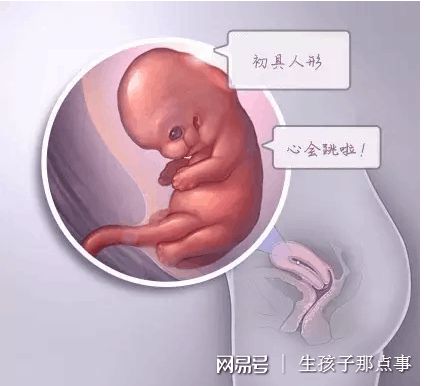 医疗团队